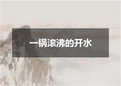 一锅滚沸的开水