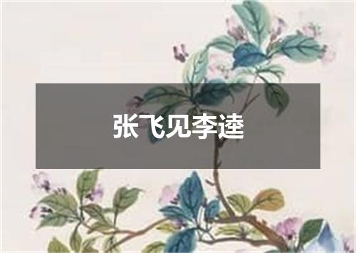 张飞见李逵
