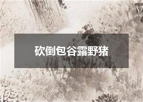 砍倒包谷露野猪