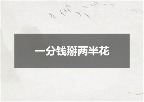 一分钱掰两半花