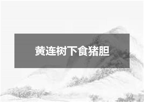 黄连树下食猪胆
