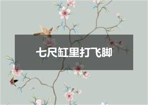 七尺缸里打飞脚