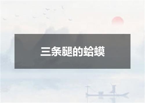 三条腿的蛤蟆