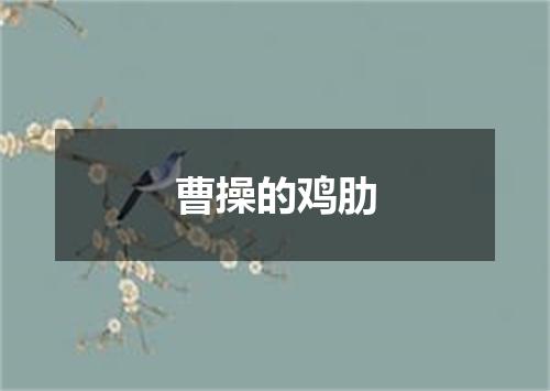 曹操的鸡肋