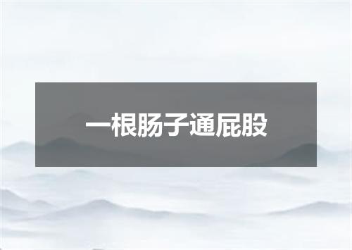 一根肠子通屁股