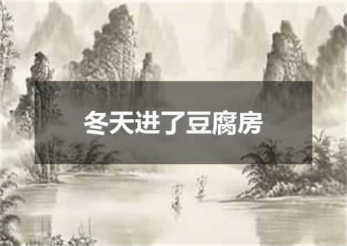 冬天进了豆腐房