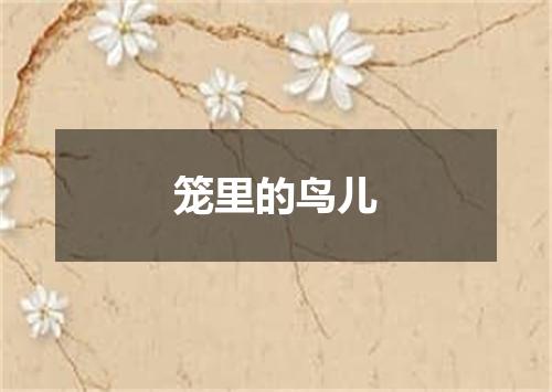笼里的鸟儿