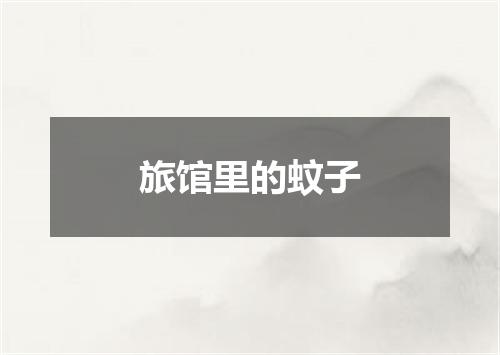 旅馆里的蚊子