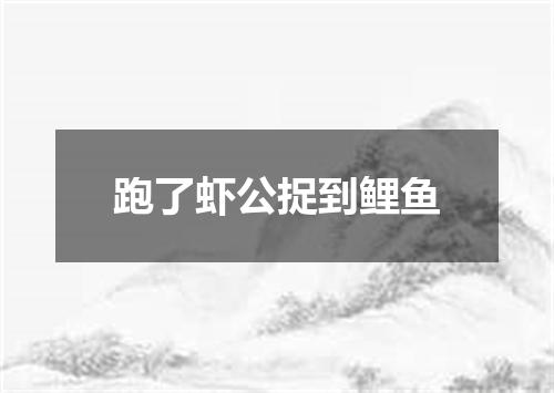 跑了虾公捉到鲤鱼
