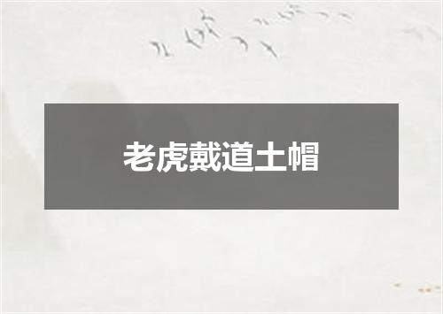 老虎戴道土帽