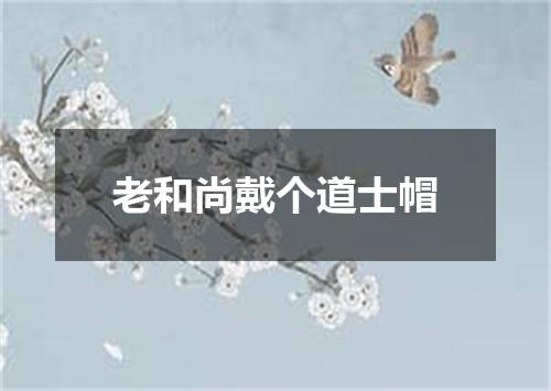 老和尚戴个道士帽