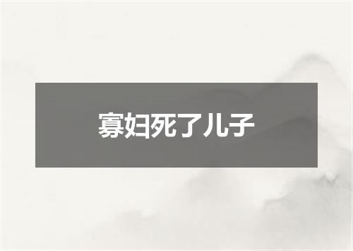寡妇死了儿子