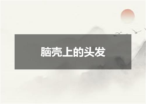 脑壳上的头发