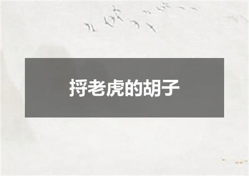 捋老虎的胡子