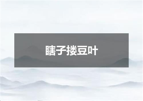 瞎子搂豆叶