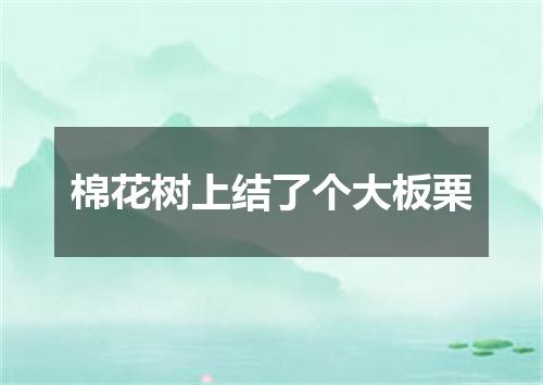 棉花树上结了个大板栗