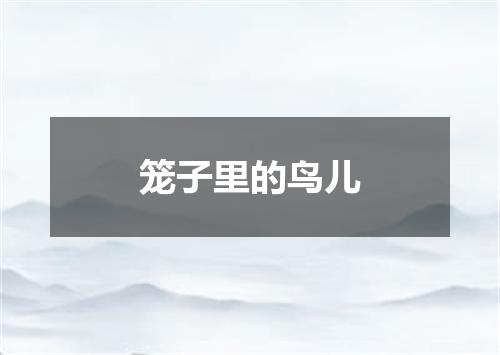 笼子里的鸟儿