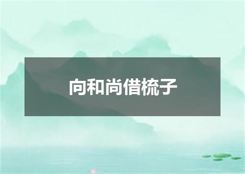 向和尚借梳子