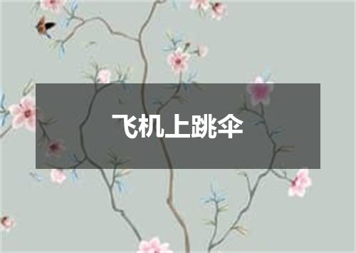 飞机上跳伞