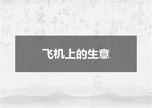 飞机上的生意