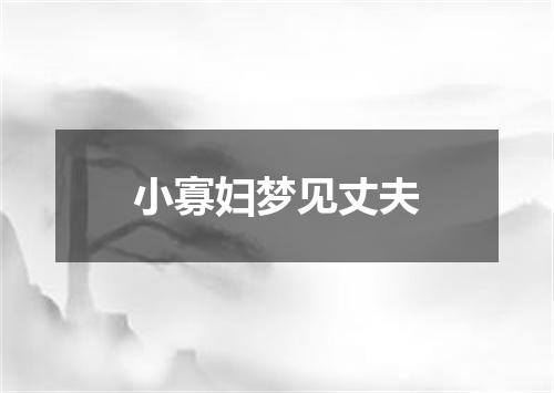 小寡妇梦见丈夫