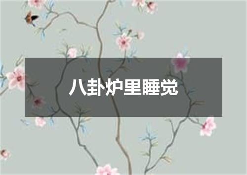 八卦炉里睡觉