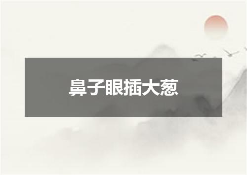 鼻子眼插大葱