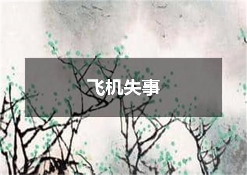 飞机失事