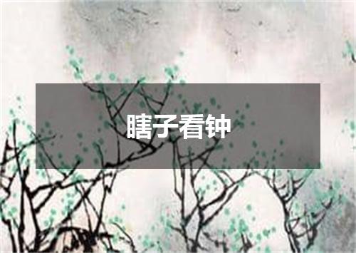 瞎子看钟