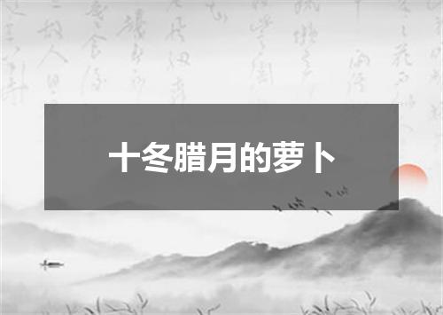 十冬腊月的萝卜