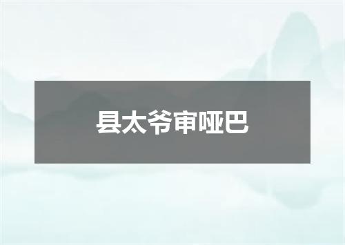 县太爷审哑巴