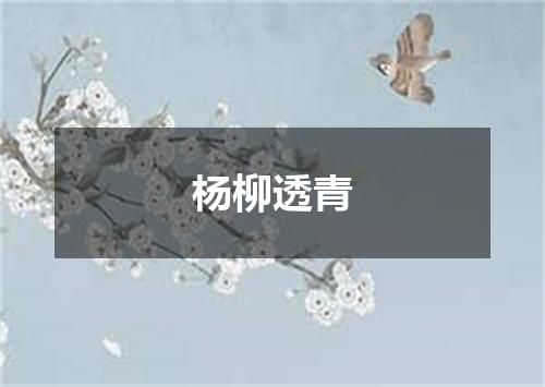 杨柳透青