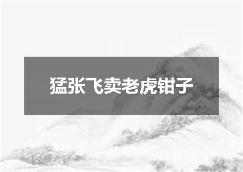 猛张飞卖老虎钳子