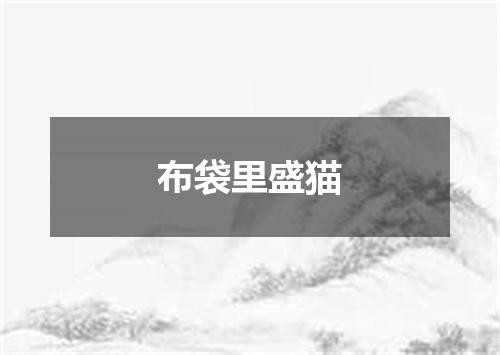 布袋里盛猫