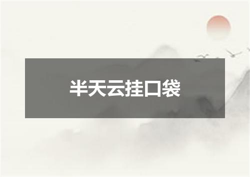 半天云挂口袋