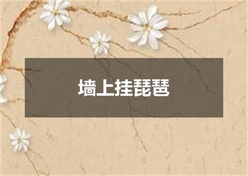 墙上挂琵琶