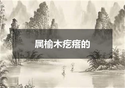 属榆木疙瘩的