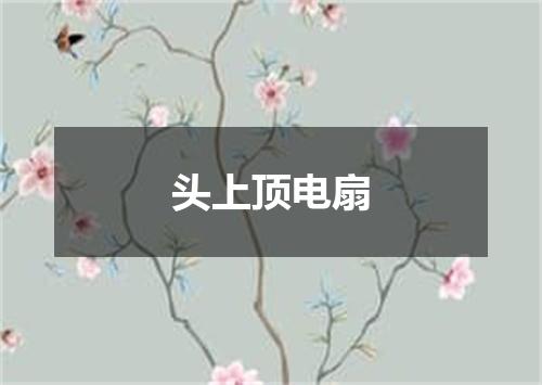 头上顶电扇