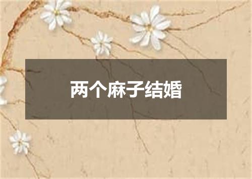 两个麻子结婚