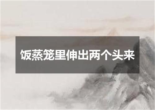 饭蒸笼里伸出两个头来