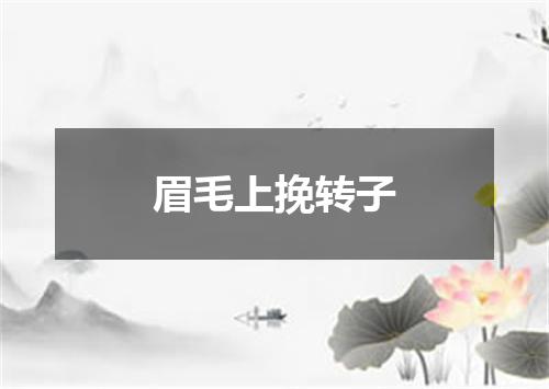 眉毛上挽转子
