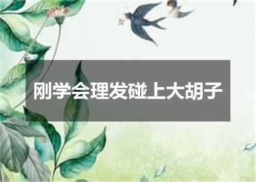 刚学会理发碰上大胡子