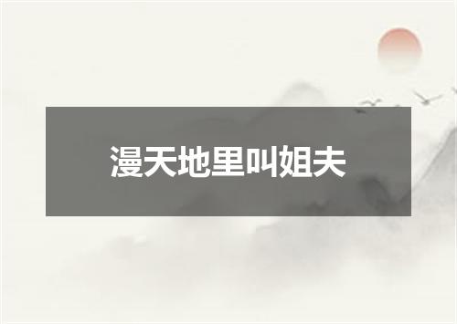 漫天地里叫姐夫