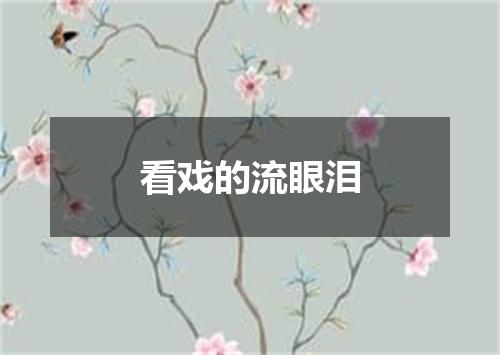 看戏的流眼泪