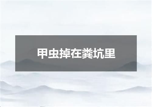 甲虫掉在粪坑里