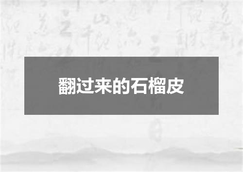 翻过来的石榴皮