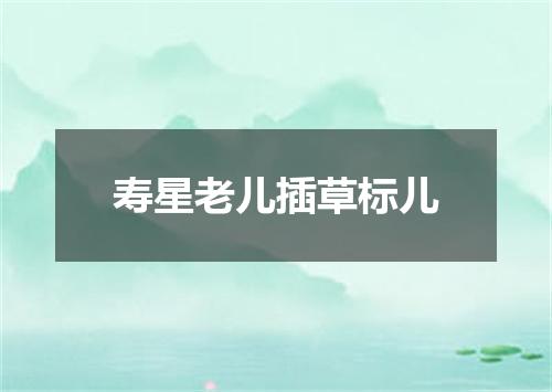 寿星老儿插草标儿
