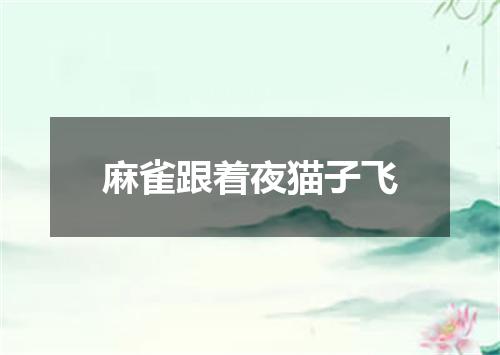 麻雀跟着夜猫子飞