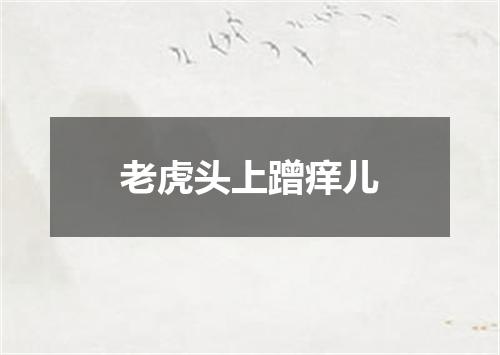 老虎头上蹭痒儿