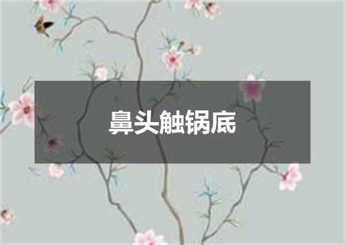 鼻头触锅底